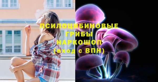 ешки Алзамай