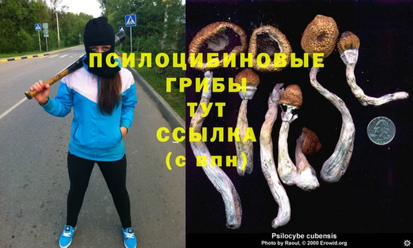 кокаин VHQ Алексеевка