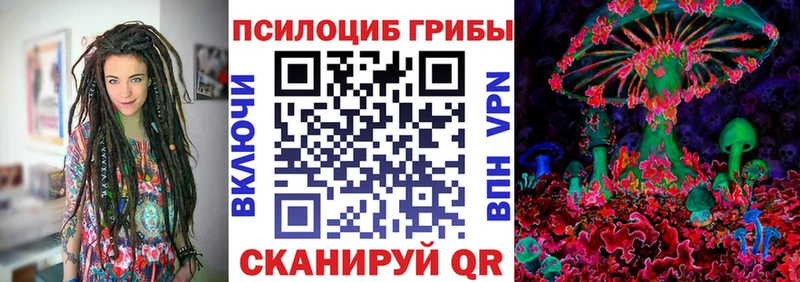 Псилоцибиновые грибы прущие грибы  ссылка на мегу ССЫЛКА  Шелехов  продажа наркотиков 